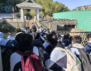 d73fc297c5c59555950b4612ca1aa558